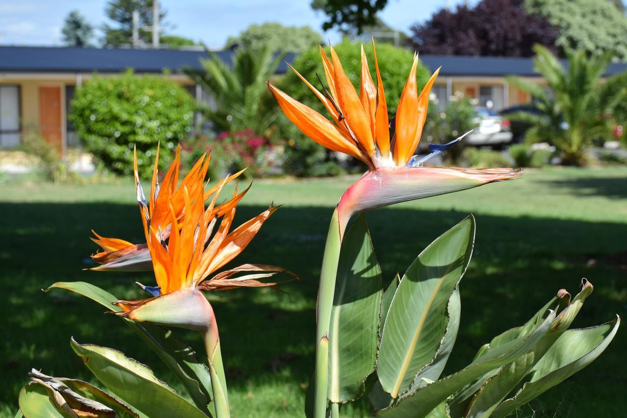 Beachway Motel Ulverstone Exteriér fotografie